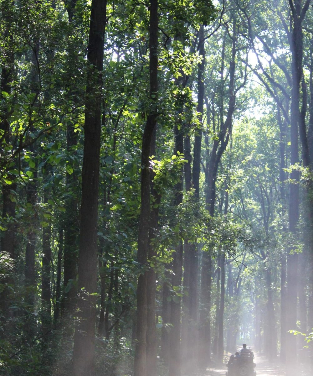 Jim Corbett4