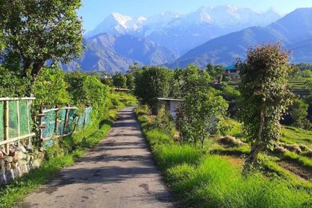Seclude Palampur Cottage