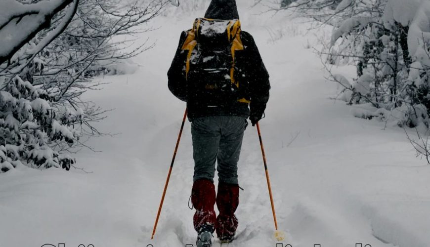 Discover Manali: Slide, Stay, and Snuggle in the Heart of the Himalayas