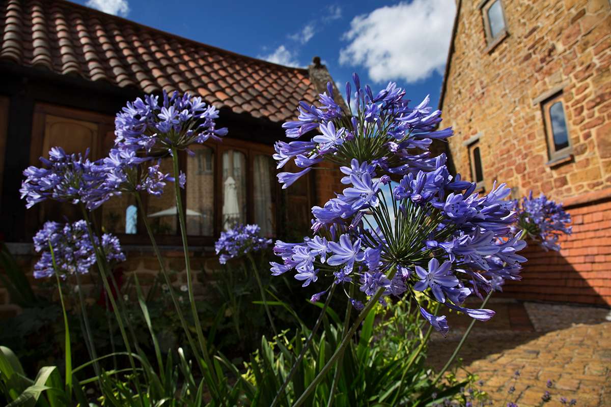 Chestnut Cottage