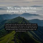 Palampur