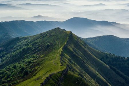 Why You Should Visit Palampur This Summer