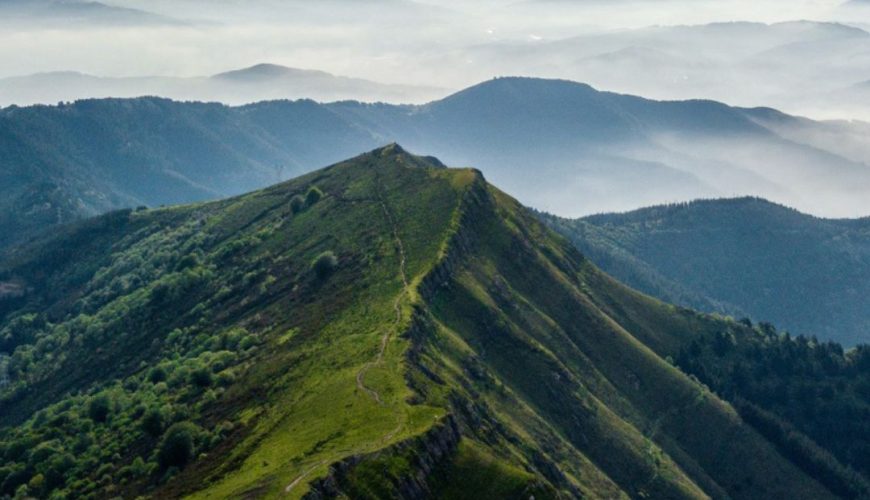 Why You Should Visit Palampur This Summer