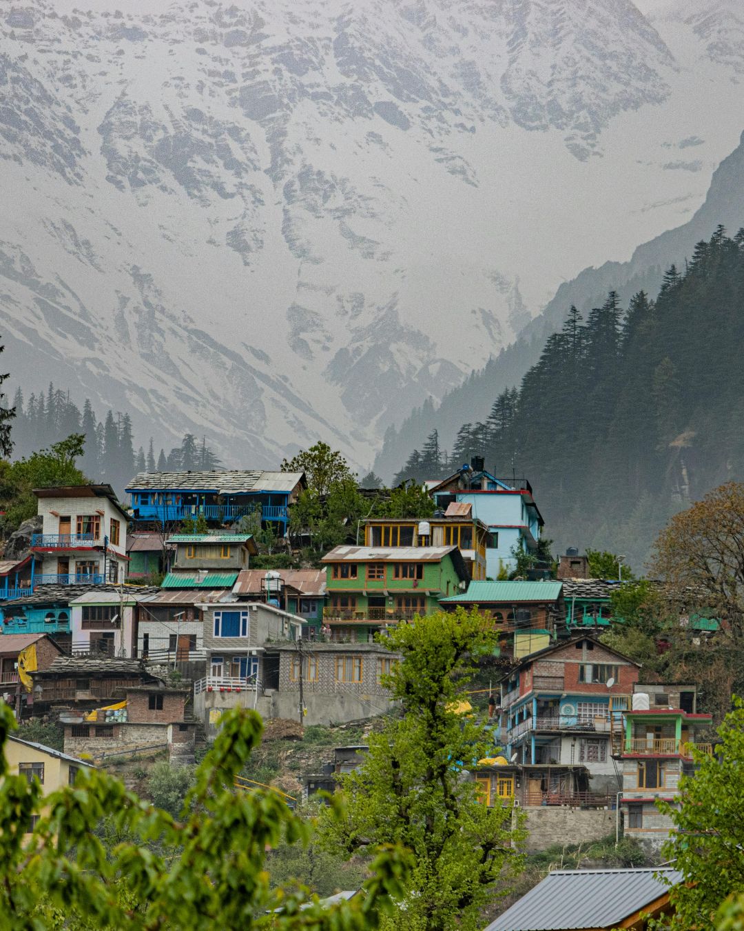 Manali’s Hidden Himalayan Retreat