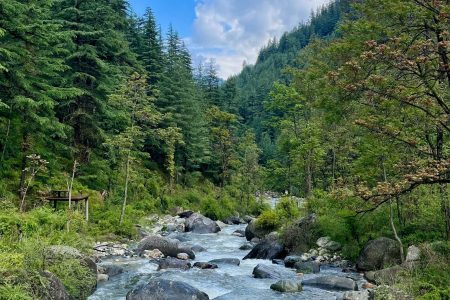Hidden Gem in Jibhi : Every summer has a story