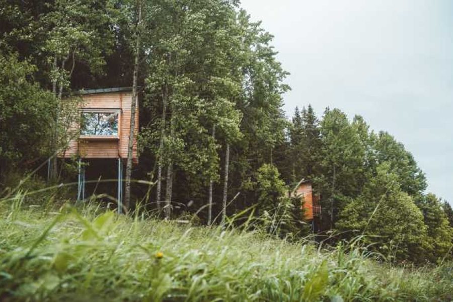 LAUV Treetop Cabin