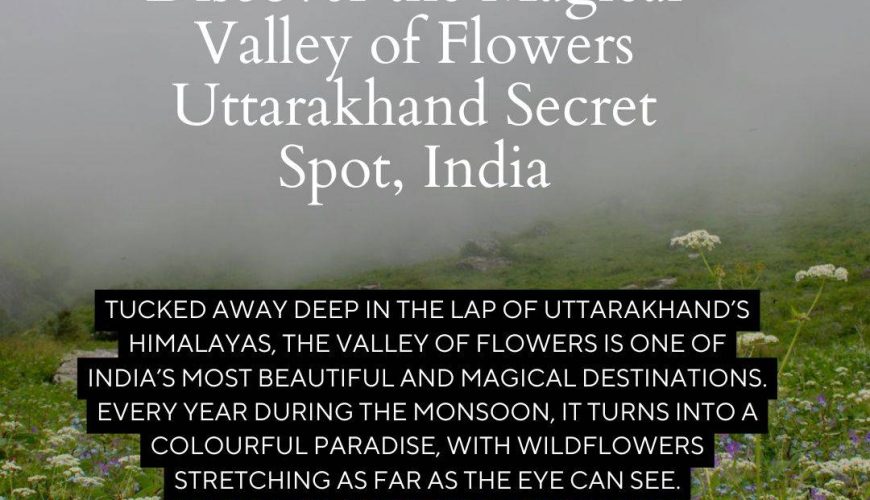 Magical Valley