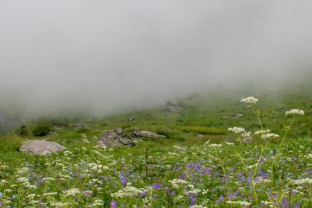 Discover the Magical Valley of Flowers Uttarakhand Secret Spot, India