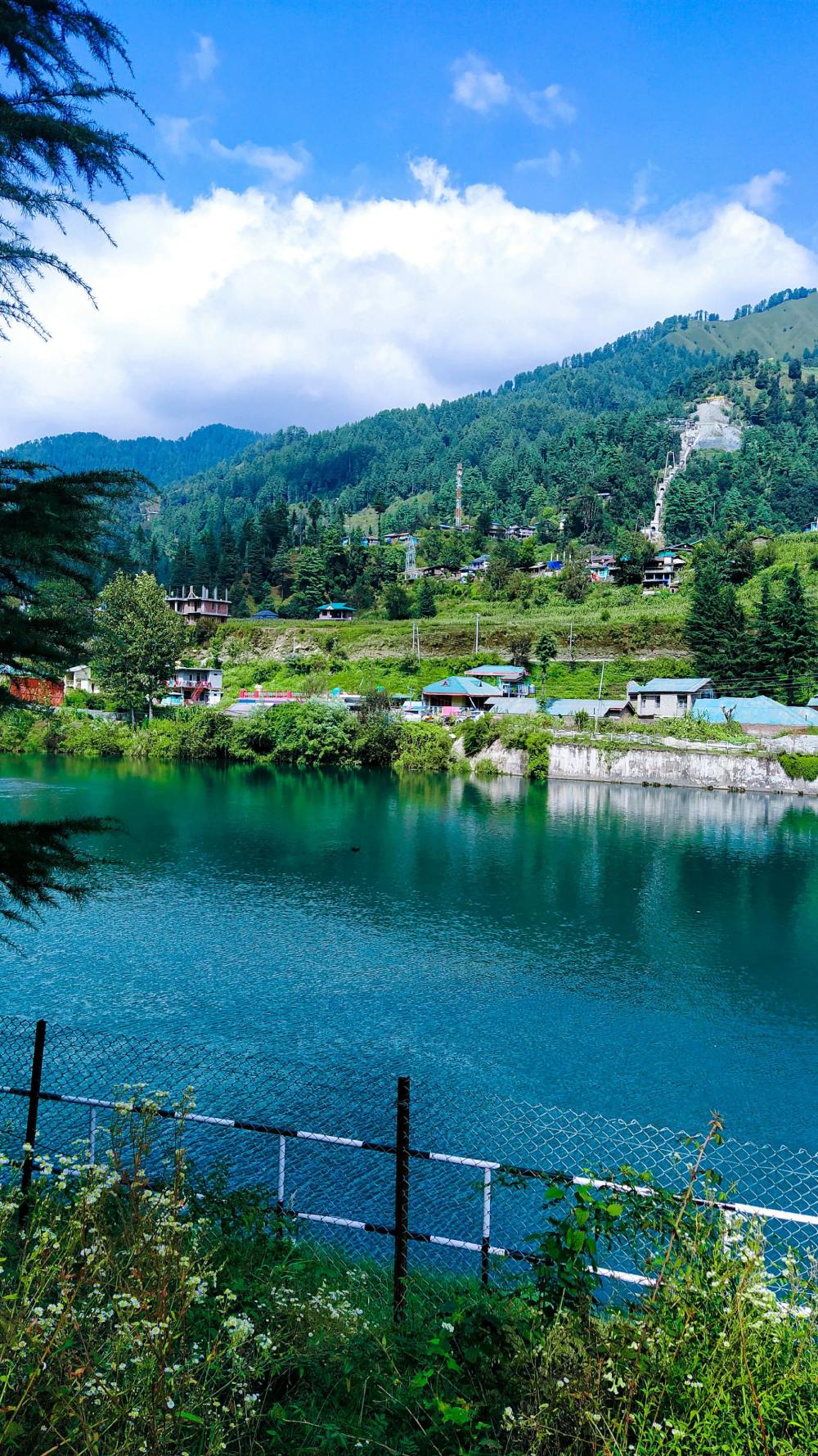 Discover The Magic Of Barot Valley In Bliss
