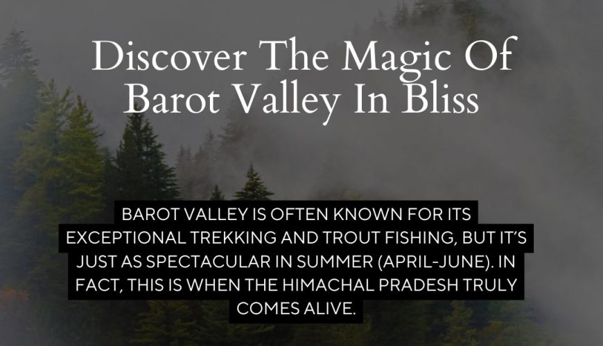 Discover The Magic Of Barot Valley In Bliss