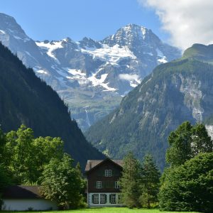 polina-kocheva-8LSsKwbQtpo-unsplash