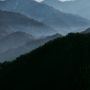 uzair-kashif-RX3EZEGOzp4-unsplash