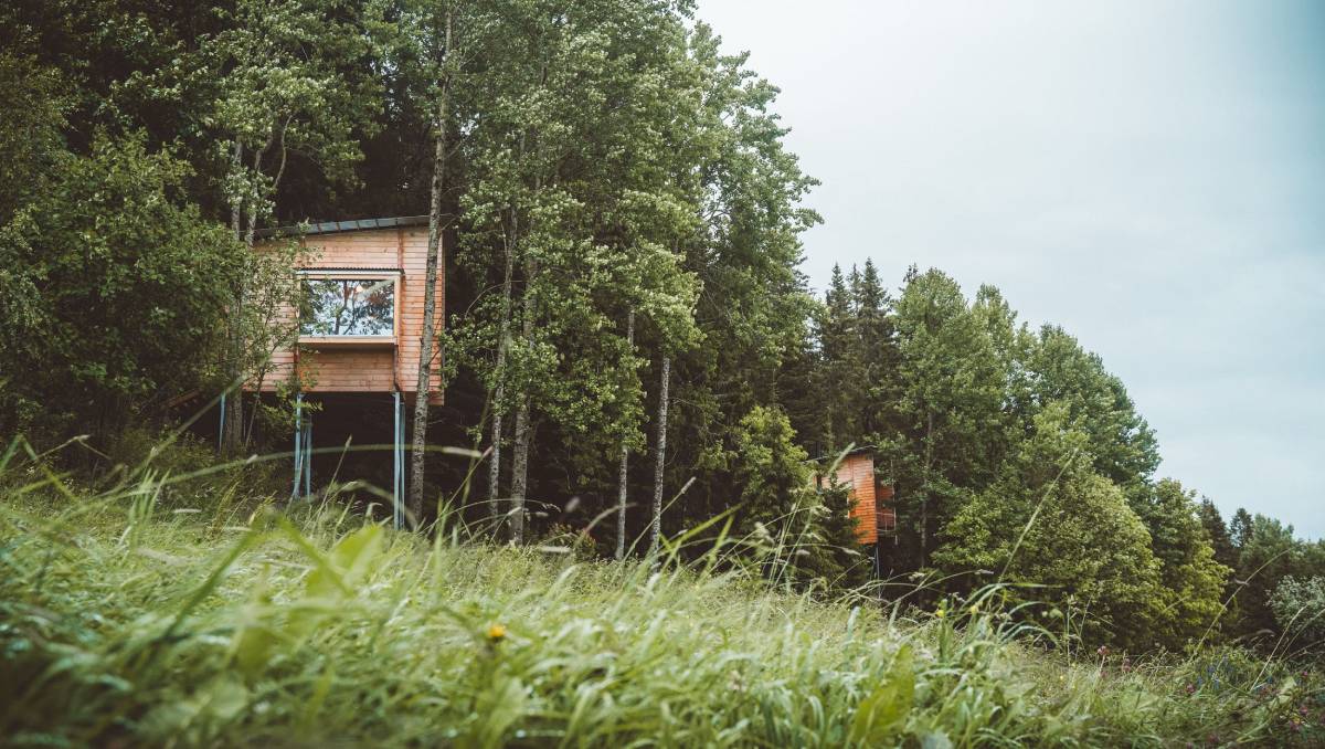 Cabin