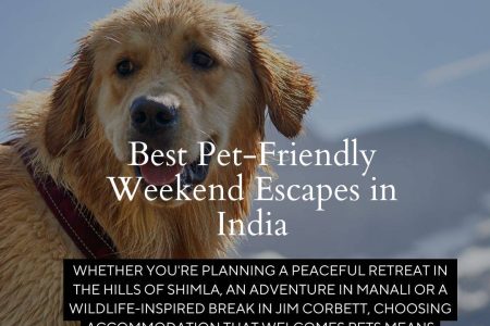 Pet-Friendly