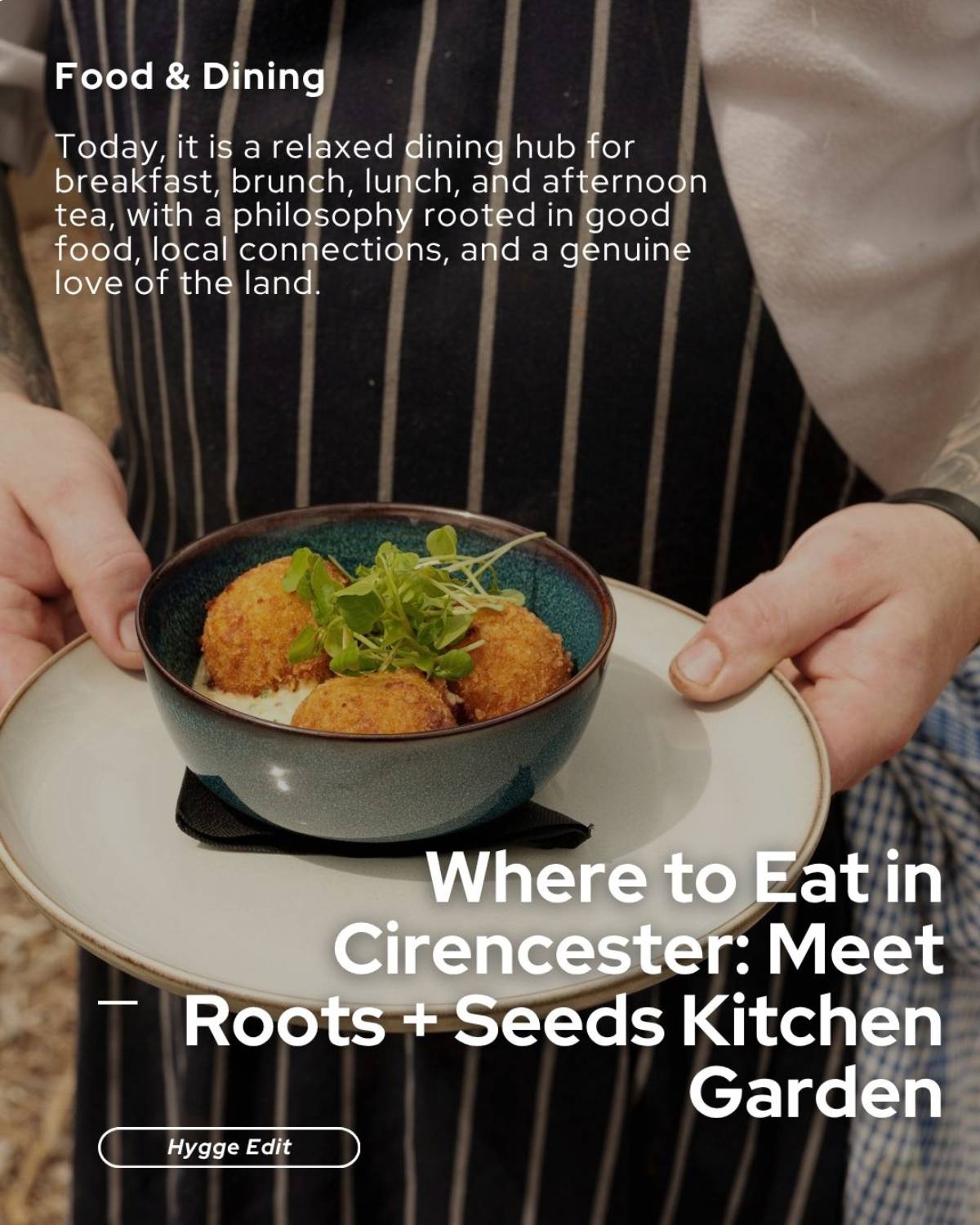 Seeds Kitchen